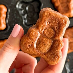 domowe misie lubisie