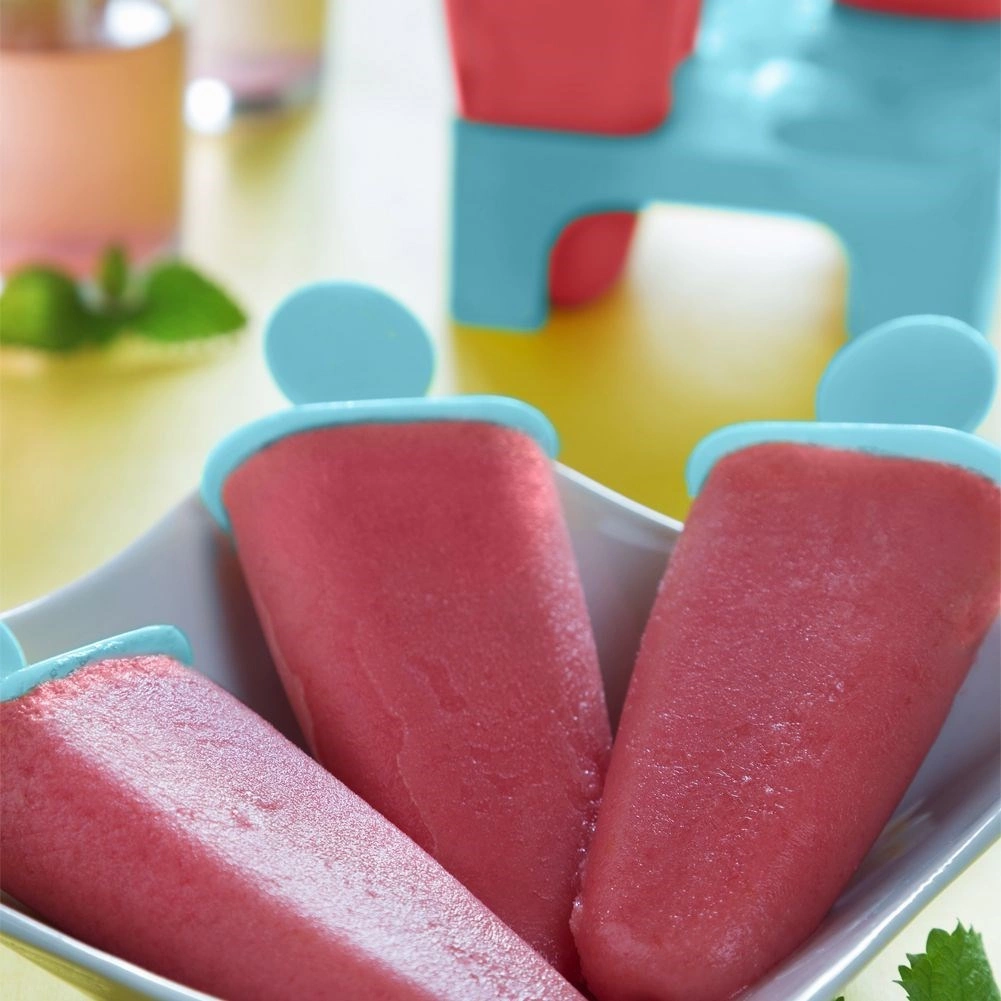 Forma do lodów na patyku 6 szt.